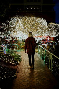 HUNTER VALLEY GARDENS - Christmas Lights tickets