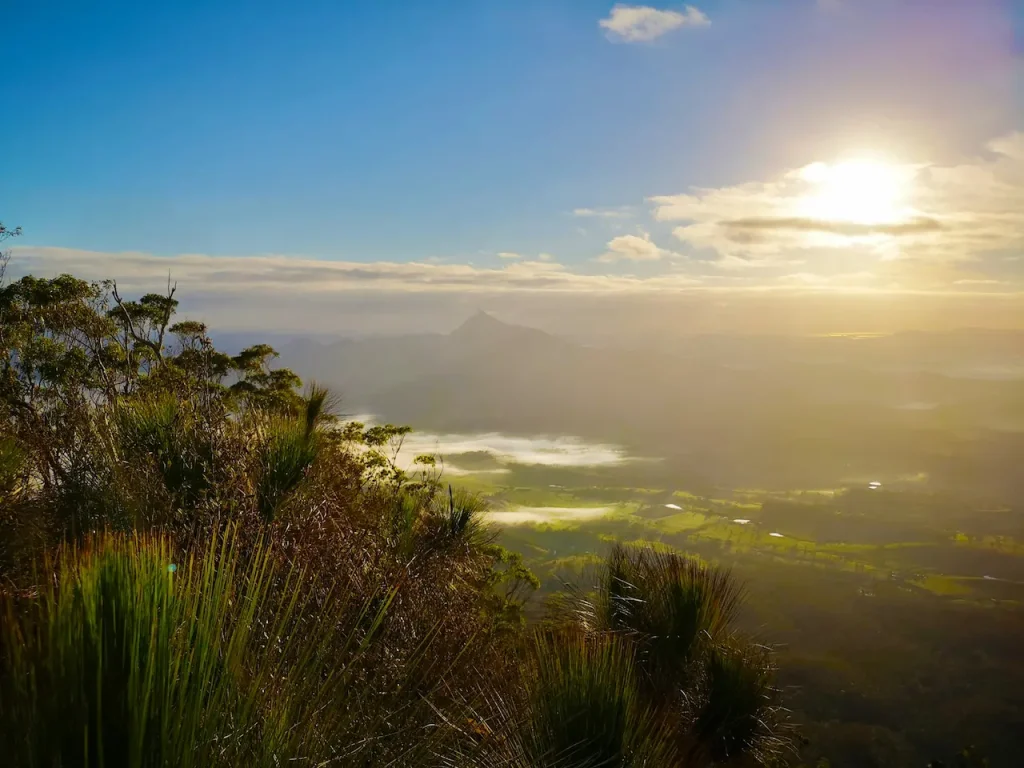A View from Mountain Kingscliff