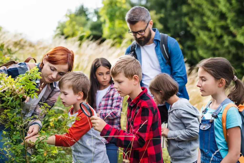 Planning A School Trip To NSW Students With Teacher