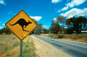 Kangaroo Sign On Budget-friendly Travel in NSW