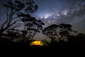 Top Free Camping Spots Across NSW