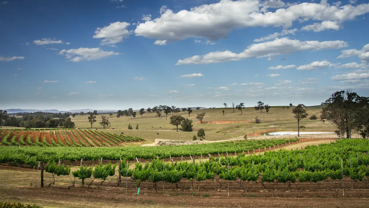 Hunter Valley Attractions And Vineyards