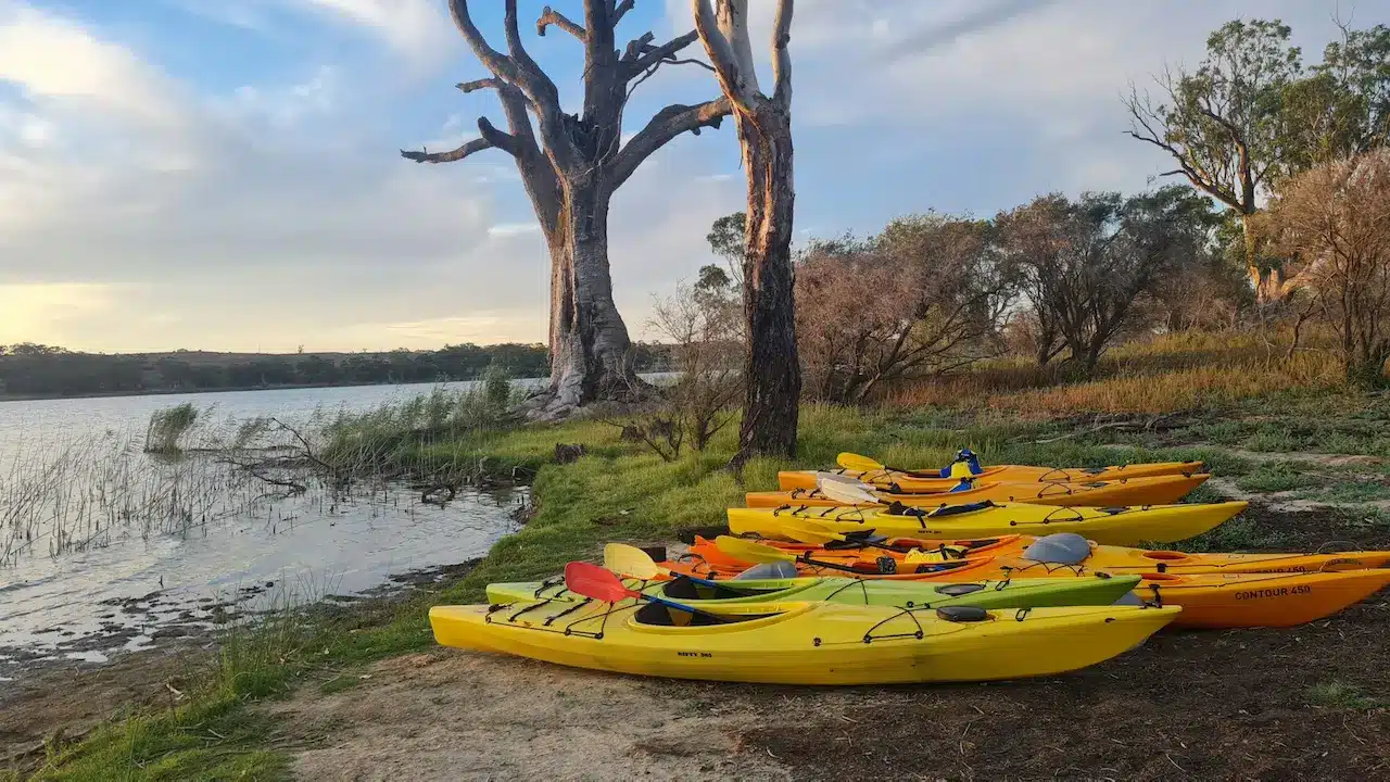 Exploring the Murray River Region